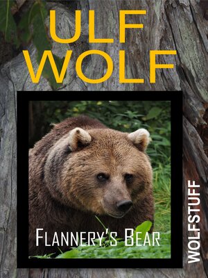 cover image of Flannery's Bear